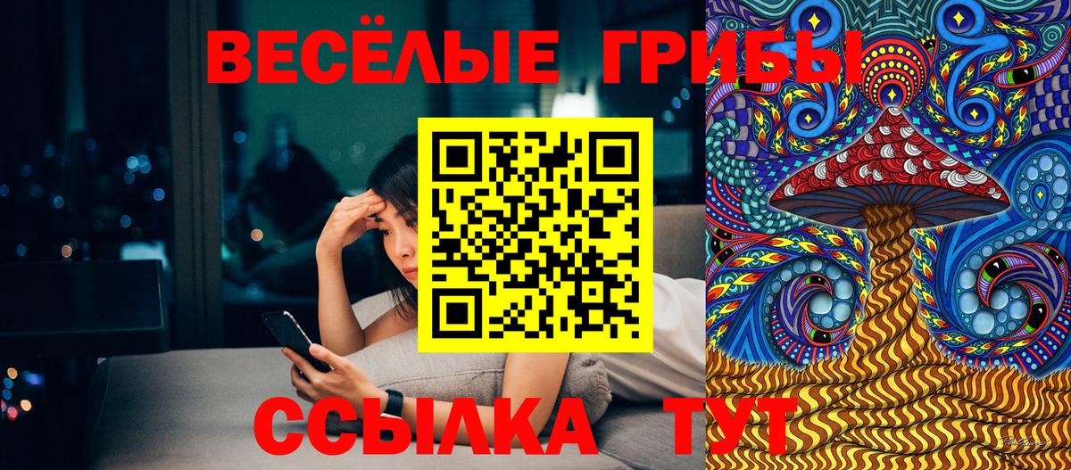 Псилоцибиновые грибы GOLDEN TEACHER Елец